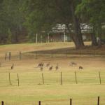 Kangaroo Valley